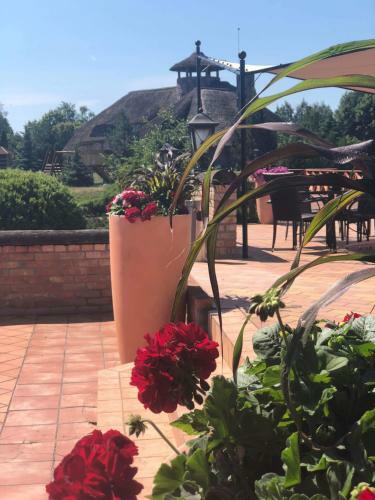 Hotel Audruvis