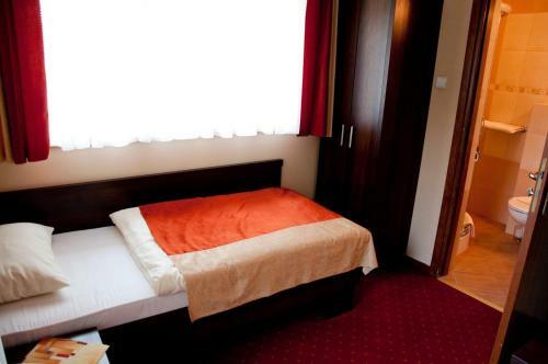 Hotel Zajazd D?bina