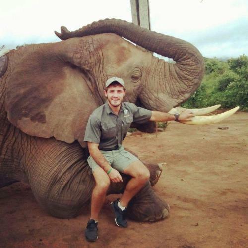 Hotel Bushwise Safari Lodge