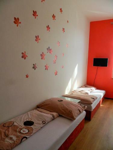 Ko?ice Hostel