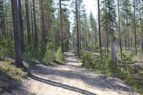 Tallbacken Fritidsby