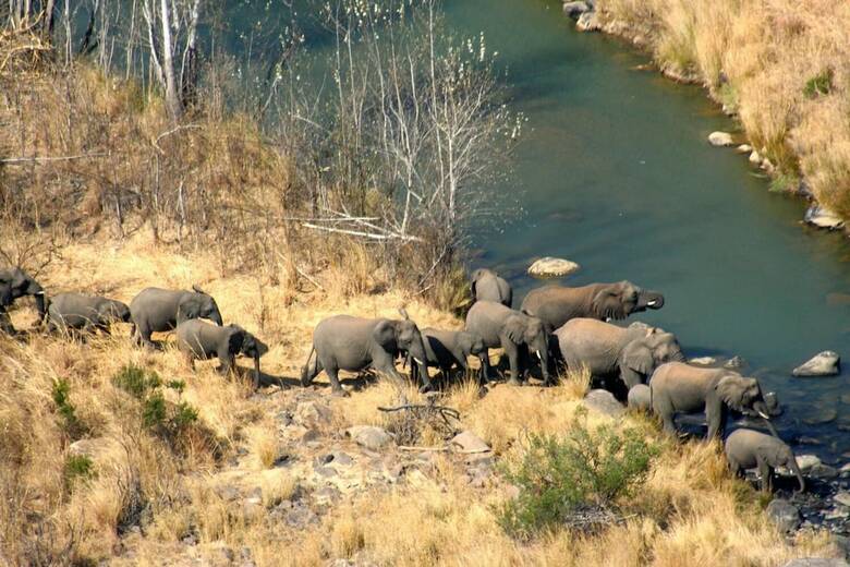 Esiweni Luxury Safari Lodge