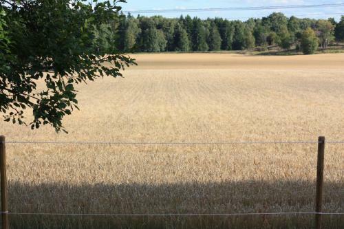 Bl�nkebo B&B