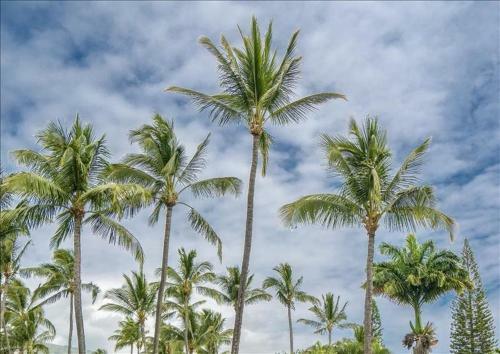 Apartamento Redawning Wavecrest C107