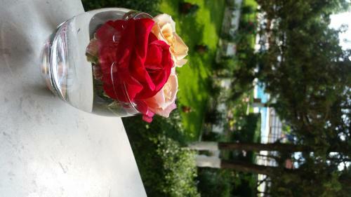 Spa Hotel Ivelia