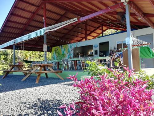 Bed & Breakfast Cabanas Los Colibris