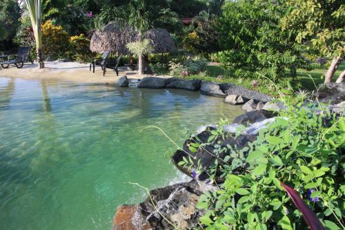 Bed & Breakfast Cabanas Los Colibris