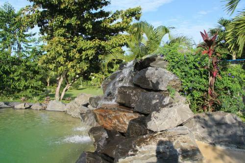 Bed & Breakfast Cabanas Los Colibris