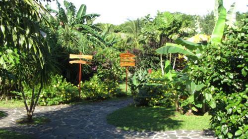 Bed & Breakfast Cabanas Los Colibris