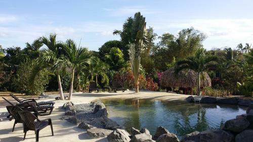 Bed & Breakfast Cabanas Los Colibris