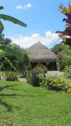 Bed & Breakfast Cabanas Los Colibris
