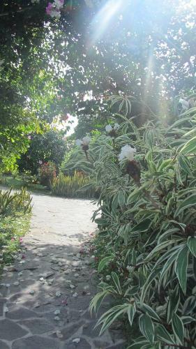 Bed & Breakfast Cabanas Los Colibris