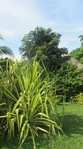 Bed & Breakfast Cabanas Los Colibris