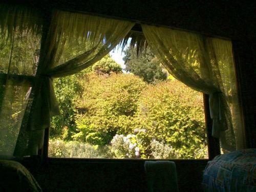 Hostal Little Paradise Lodge
