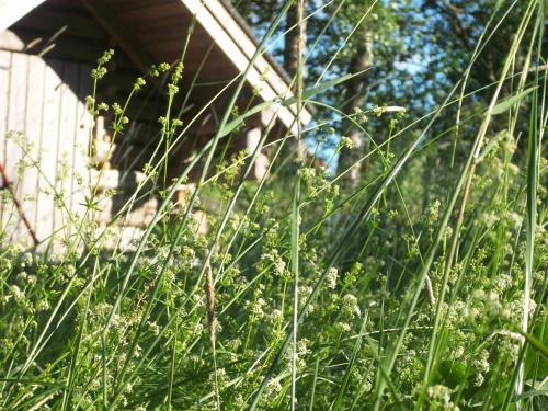 Bed & Breakfast Brinkin Wanha Pappila