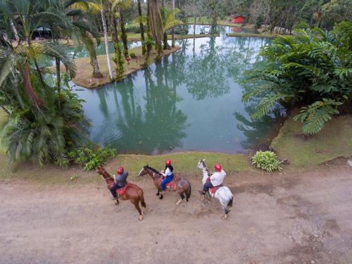 Albergue Chachagua Rainforest Hotel & Hacienda