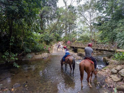 Albergue Chachagua Rainforest Hotel & Hacienda