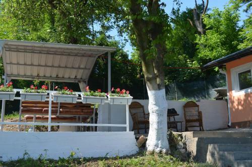 Apartamentos Pansion Nargalic