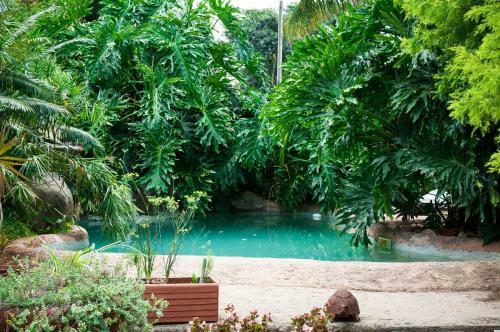 Hostal Cosmos Cuisine Addo
