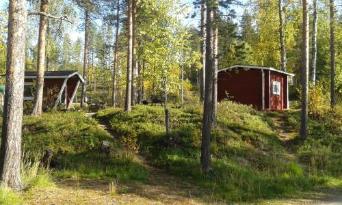 Ivalo River Camping