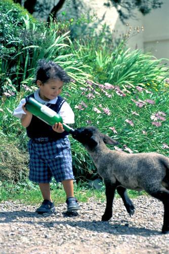 Agroturismo Barnabrow Country House