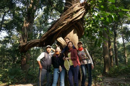 Hotel Chitwan Village Resort