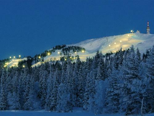 Apartamentos Holiday Club Ruka Cottages