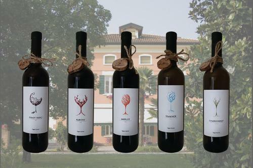 B&B Vigne Correr