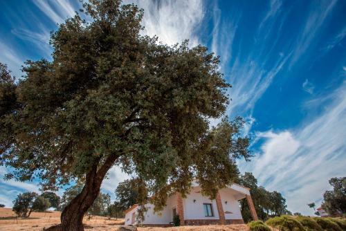 Agroturismo La Alde�lla
