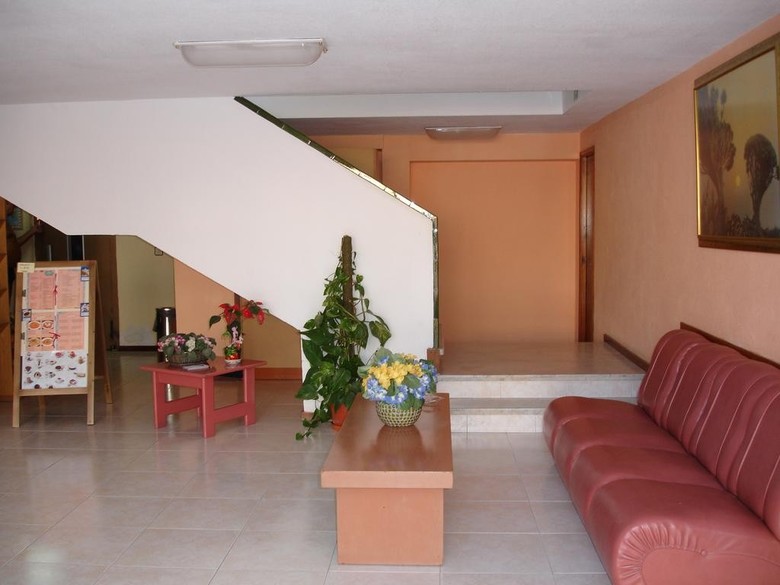 Apartamentos Los Ficus