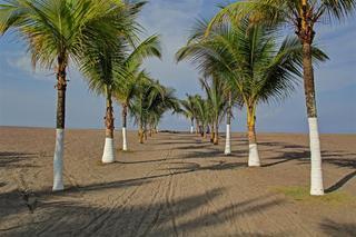 Hotel Best Western Jaco Beach Resort