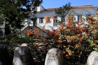 Bed & Breakfast Quinta De Mogofores