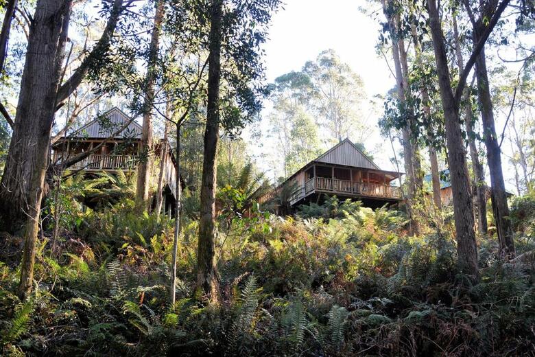Hotel Lemonthyme Lodge
