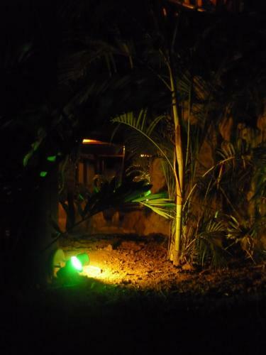 Agroturismo Caba�as Amazonia