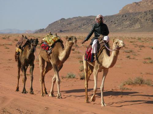 Bedouin Advisor Camp