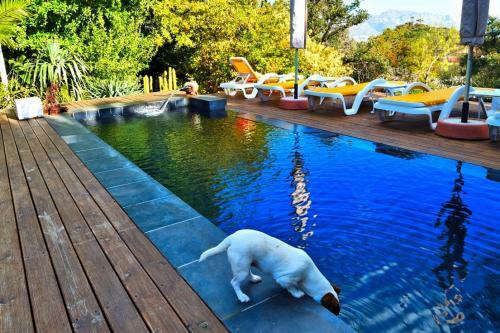 Villa Chelaya Country Lodge