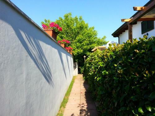 Agroturismo Agriturismo Fratelli Mizzon