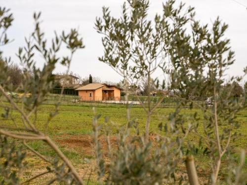 Bed & Breakfast I Melograni