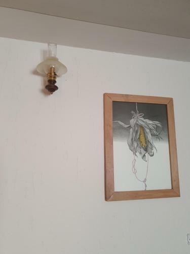 B&B Il Pettirosso