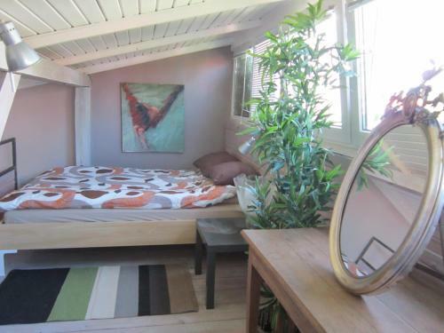 Apartamenty Galeria