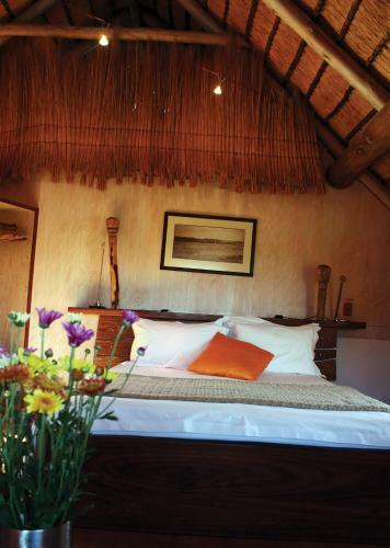 Lodge The Stiltz