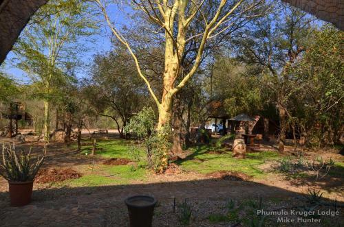 Phumula Kruger Lodge And Safaris
