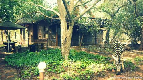 Phumula Kruger Lodge And Safaris