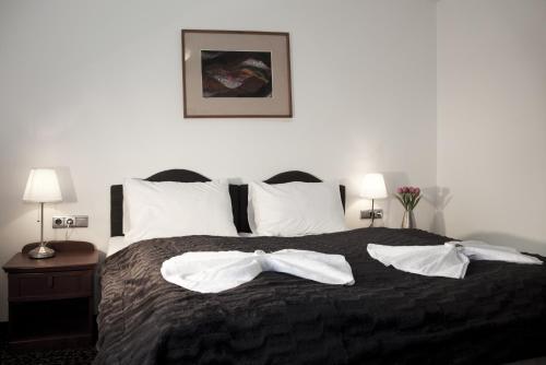 Hotel Z�mek Velk� Byst?ice