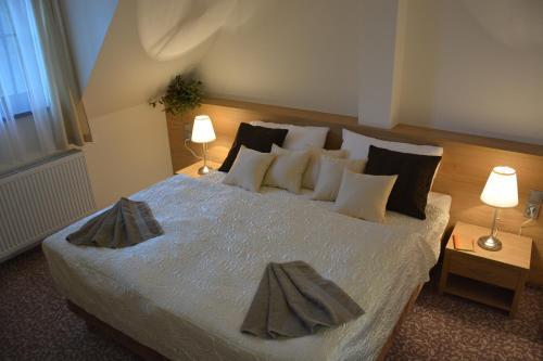 Hotel Z�mek Velk� Byst?ice