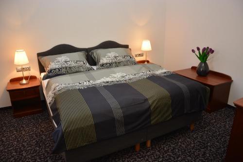 Hotel Z�mek Velk� Byst?ice