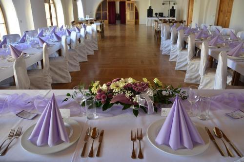 Hotel Z�mek Velk� Byst?ice