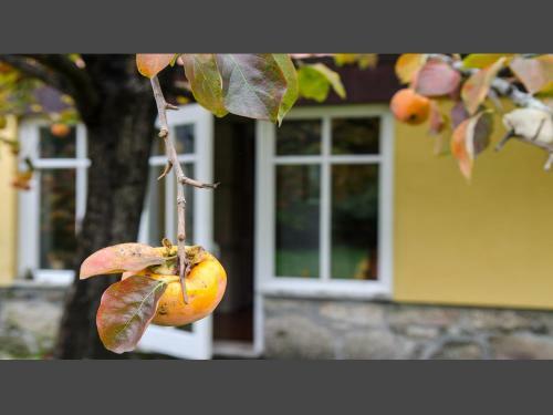 Agroturismo Casa Da Eira De Gondomil
