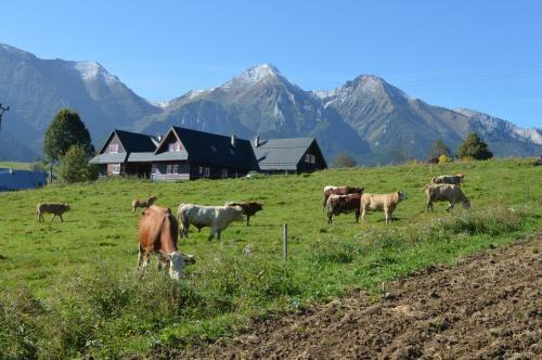 Agroturismo Dreveni?ka Na Gazdovskom Dvore