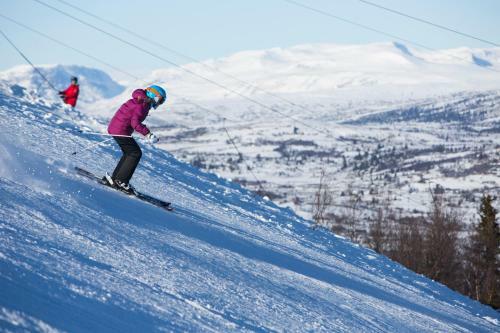 Hotel Gomobu Fjellstue